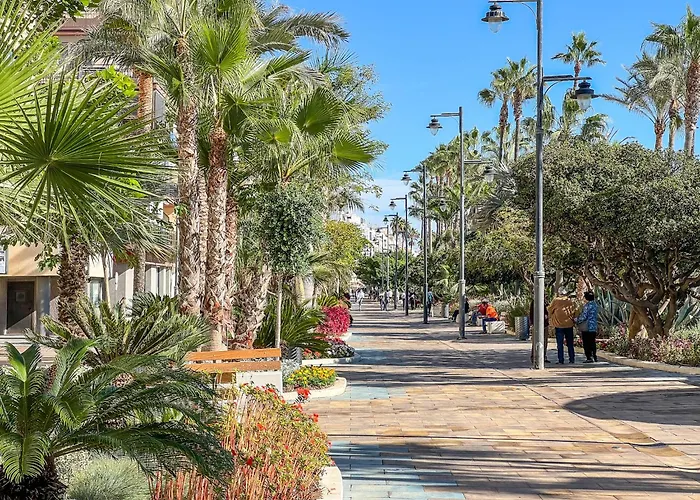Hanami Avenida De Espana