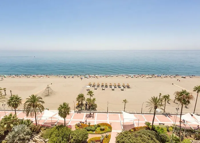 Hanami Avenida De Espana *