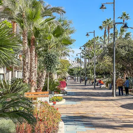 Hanami Avenida De Espana